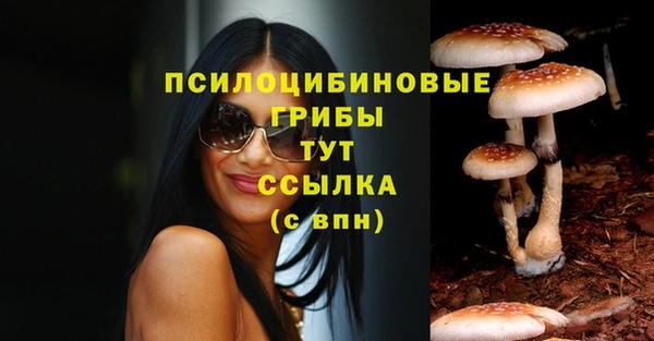 мяу мяу мука Баксан