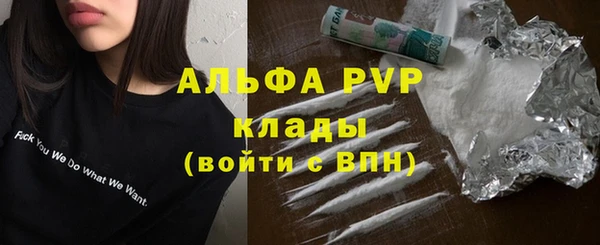 мяу мяу мука Баксан