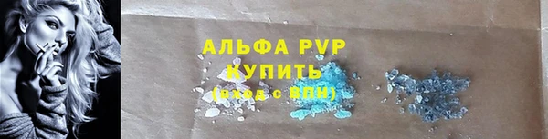 мяу мяу мука Баксан
