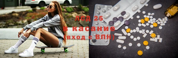 мяу мяу мука Баксан