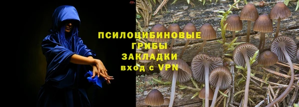 мяу мяу мука Баксан